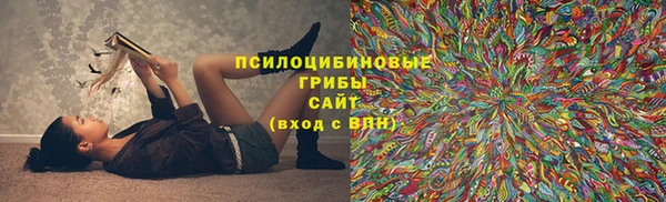 ПСИЛОЦИБИНОВЫЕ ГРИБЫ Белокуриха