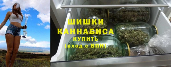 ПСИЛОЦИБИНОВЫЕ ГРИБЫ Белокуриха
