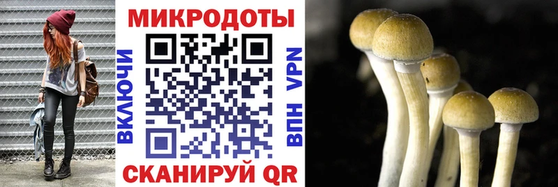 Псилоцибиновые грибы MAGIC MUSHROOMS  Калтан 